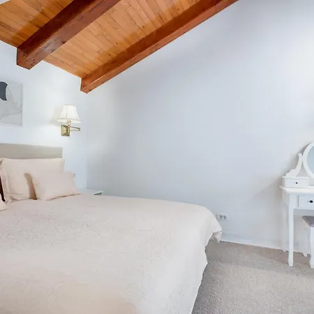 Villa Mary's With Heated Pool, Game & Ev Plug Malinska